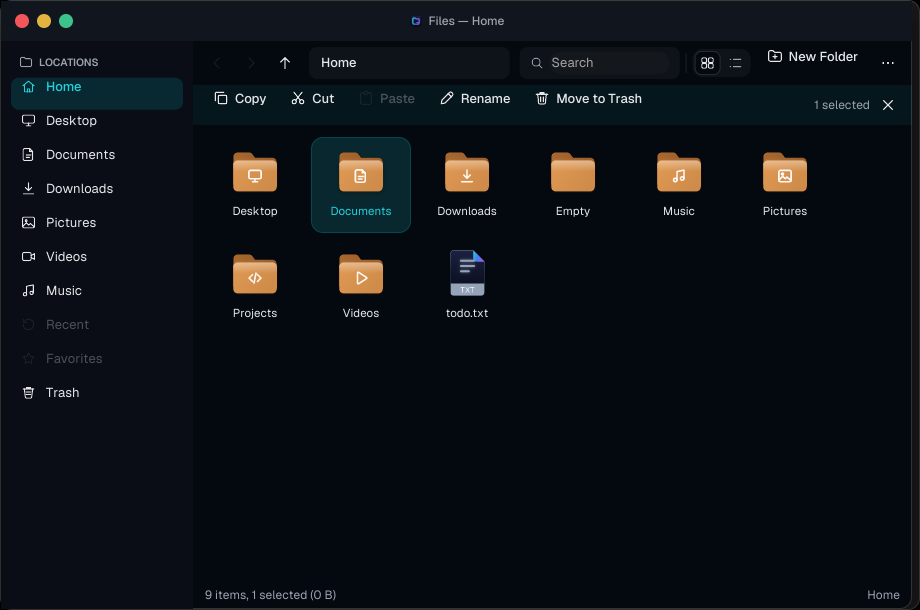 Aospix Files showing the home folder in a dark grid